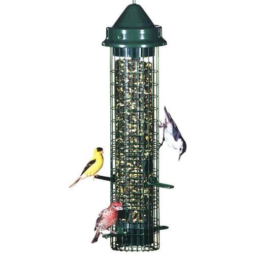 Welcome More Birds & Keep Squirrels Away from Their Food