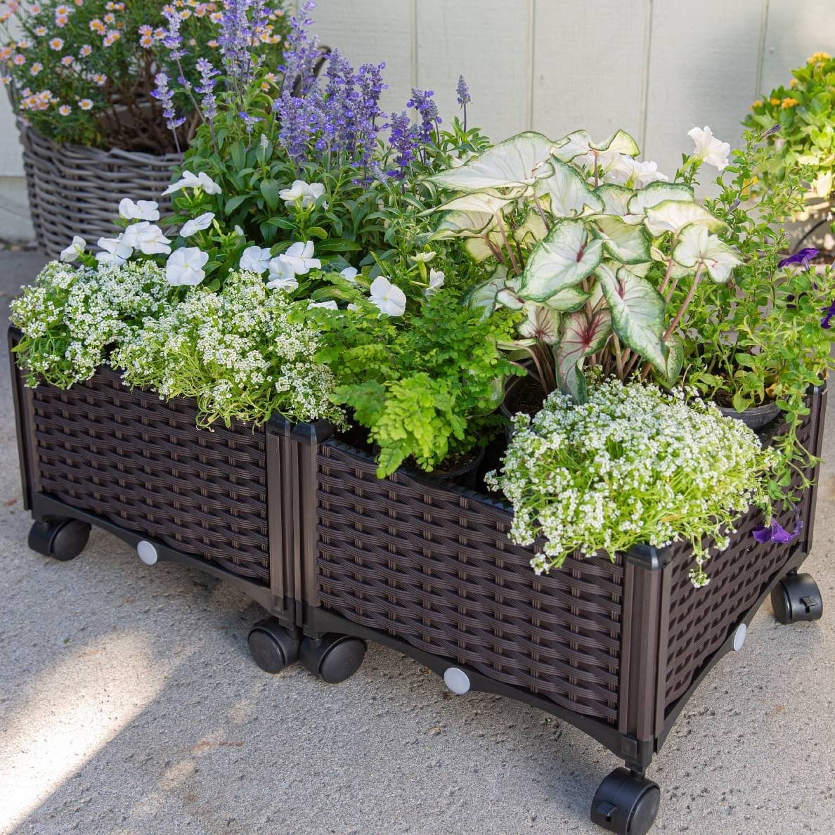 Garden Smarter with Mobile Raised Planters