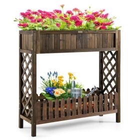 2-Tier Raised Wooden Garden Bed