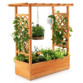 Raised Garden Bed with Trellis; Natural