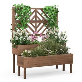 2-Tier Raised Garden Bed with Trellis; Brown