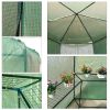 Outdoor Hexagon Greenhouse 6.5 x 7 Ft