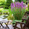 Pine Wood Garden Trellis