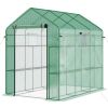 Greenhouse with Green PE Cover