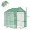Greenhouse with Green PE Cover