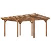 Outsunny 12' x 16' Fir Wood Pergola