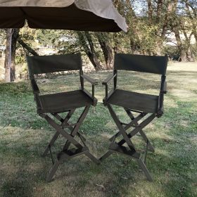 Casual Home Director's Chairs; Set of 2
