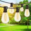 Vintage LED Outdoor String Lights; 100 ft