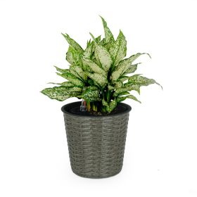 10.2" Self-watering Wicker Decor Planter