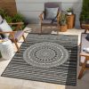 Sunshine Indoor/Outdoor Flatweave Area Rug; 7 ft. 10 in. x 10 ft. 3 in.