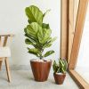 Dark Imitation Wood/Plastic Self-watering Planter; 2-Pack
