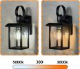 Inowel Black Exterior Wall Light Fixture; Adjustable Brightness