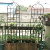 Black Metal Garden Trellis; 2 Pack