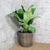 10.2" Self-watering Wicker Decor Planter