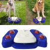Outdoor Dog Paw Activated Water Fountain; Big and Small Dogs