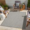 Sunshine Indoor/Outdoor Area Rug; 7 ft. 10 in. x 10 ft. 3 in; Silver
