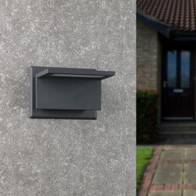 Inowel Outdoor LED Wall Lamp (Color: Grey)