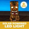 Tiki LED Solar Powered Garden Light