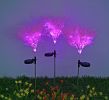 Pathway Backyard Rechargeable LED Solar Light - Coral
