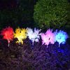Pathway Backyard Rechargeable LED Solar Light - Coral