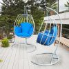 Egg Shaped Hanging Swing Chair